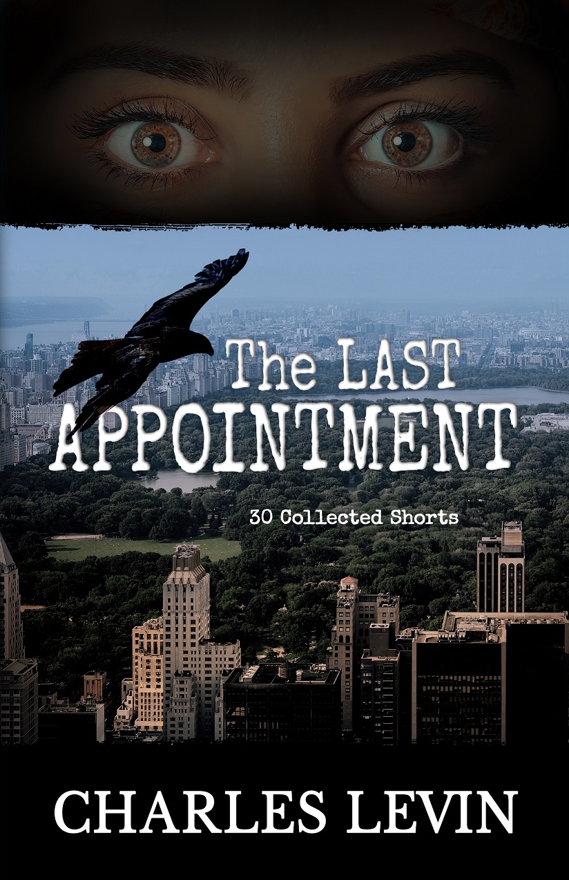 The Last Appointment
